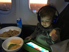 The Flight Home - We don t mess around